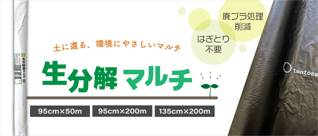b_seibunkai1080_463.jpg