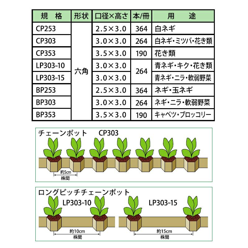 ニッテン チェーンポット CP303 径3cm×高3cm 株間5cm 穴数264 1冊 白ネギ ミツバ 花き類 | 農家のお店おてんとさん