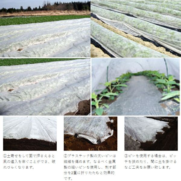 引き取り限定】NEWアイホッカ#18