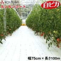 KOIZUMI (小泉製麻) 防草シート ルンルンシート 白ピカ 幅75cm×長さ100m | 農家のお店おてんとさん