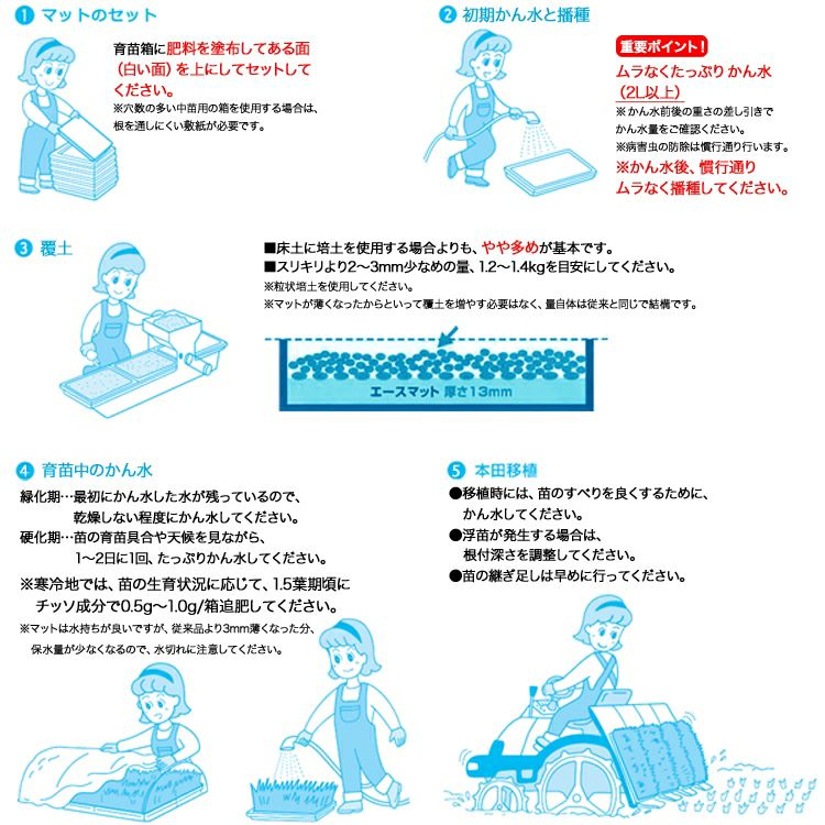 水稲 ロック ストア ウール マット