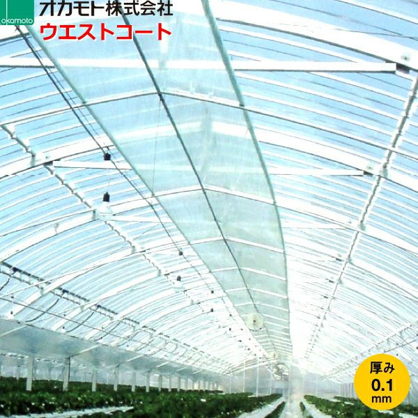 ビニールハウス PO塗布型ビニール（0.13×570×20㍍） 叶える