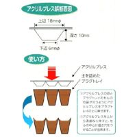 000000006213-02-s.jpg?t=