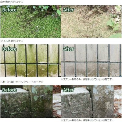 パネフリ工業 コケそうじ業務用濃縮液 2L 20倍希釈用 【非農耕地用】 農家のお店おてんとさん