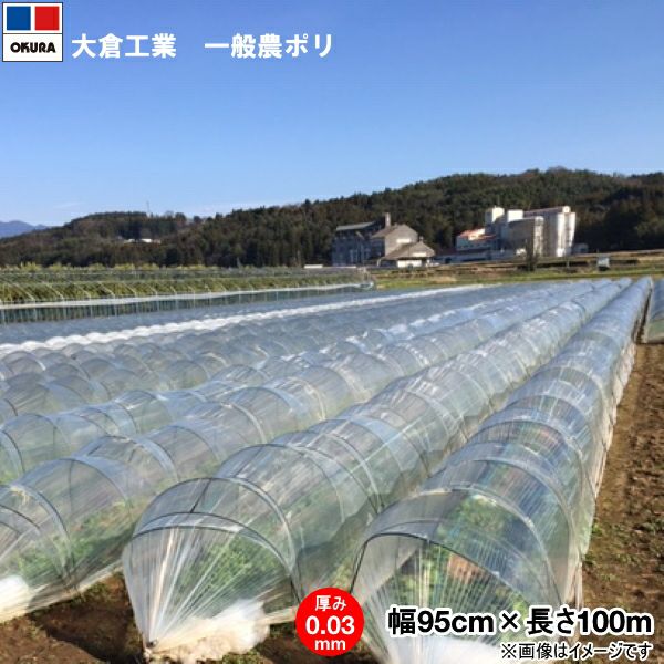 オークラ 農ポリ 透明マルチ 厚み0.03mm×幅95cm×長さ100m 3本セット