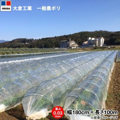 オークラ 農ポリ 透明マルチ 厚み0.03mm×幅300cm×長さ100m 2本セット 農家のお店おてんとさん