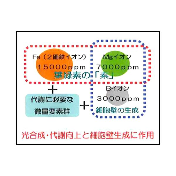 サカタのタネ 液体微量要素複合肥料 鉄力あくあ F14 1L 葉面散布 潅注処理 | 農家のお店おてんとさん