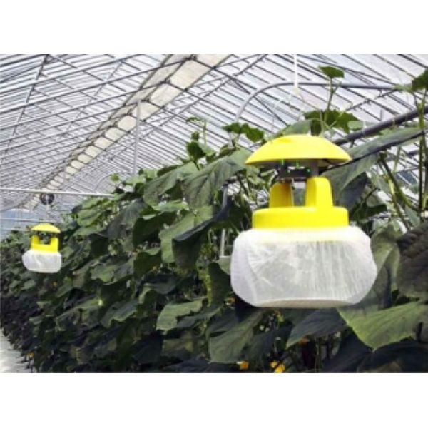 みのる産業 吸引式LED捕虫器 スマートキャッチャー2 CLF-700 お買得2台