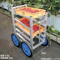 イチゴさん専用 サンゲツ 壁紙 のりなし クロス 国産 イエロー 石目調 ストーン