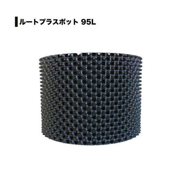 ブルーブッシュ ルートプラスポット入り/ 706 空しい