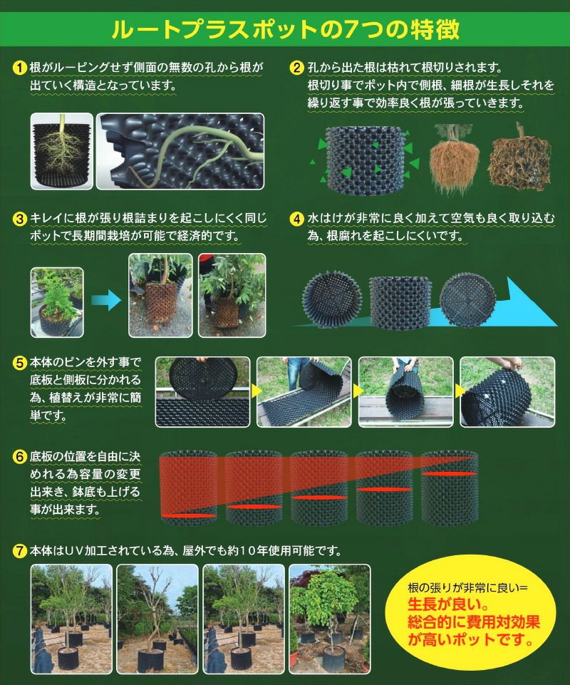 Amazon.co.jp: エアルートポット ルートプラスポット 植物ルート