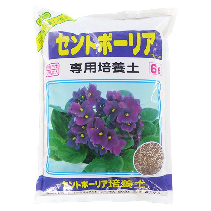 アミノール化学研究所 セントポーリア専用培養土 6L 珪酸白土入 活性炭