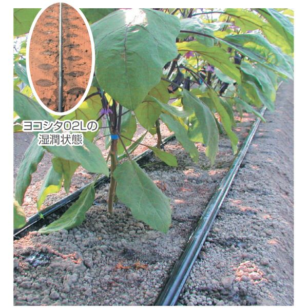 住化農業資材 潅水チューブ ネオドリップ ヨコシタ02L 200m巻 灌水 二