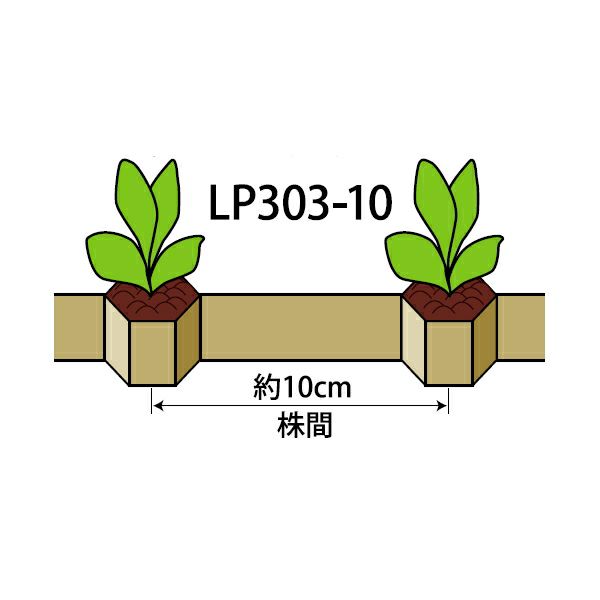ニッテン ロングピッチチェーンポット LP303-10 径3cm×高3cm 株間10cm 