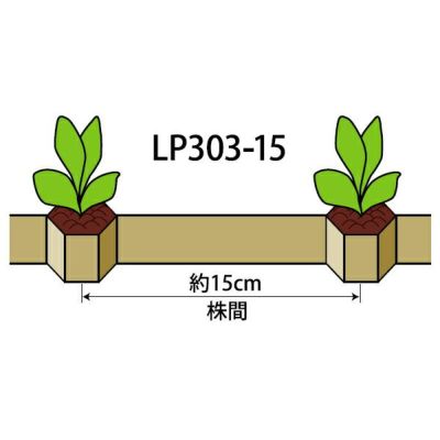 ニッテン ロングピッチチェーンポット LP303-15 径3cm×高3cm
