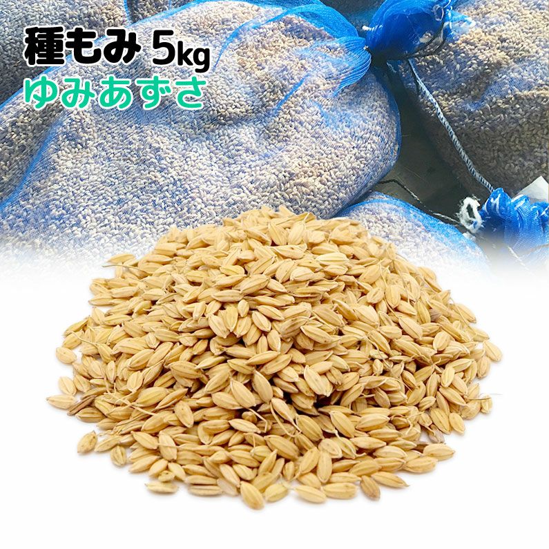 水稲うるち玄米 ひとめぼれ