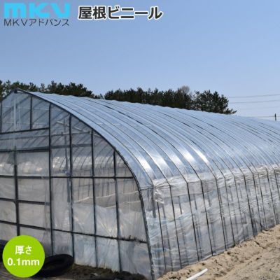 MKV 農ビ ENGEI 屋根ビニール 3.5×15間 0.1mm×840cm×31m 農家のお店おてんとさん