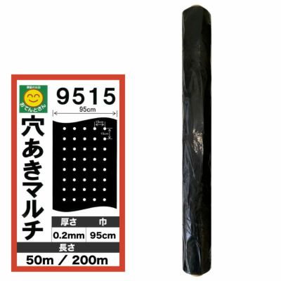 穴あき黒マルチ 9515 厚0.02mm×幅95cm×長50m／厚0.02mm×幅95cm×長200m (穴あきマルチ) | 農家のお店おてんとさん