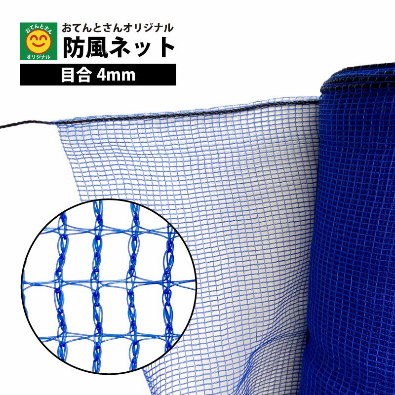 000000011362-01-l.jpg?t=