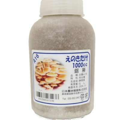 完璧 000000011420-01-m.jpg?t= その他