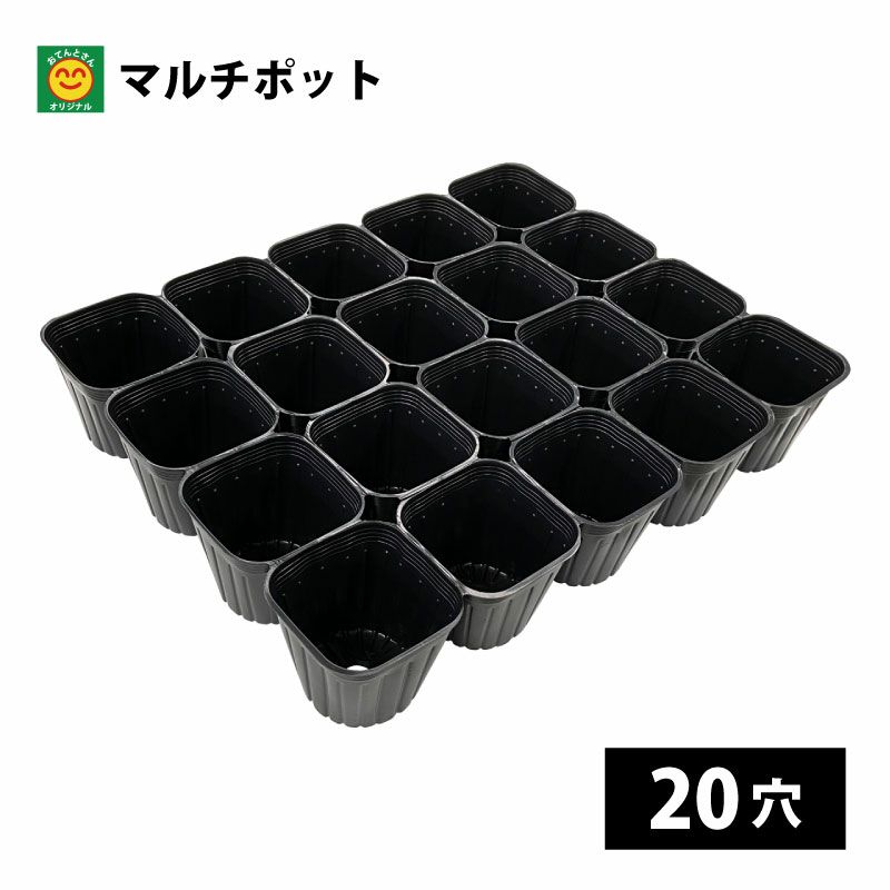 000000011427-02-l.jpg?t=