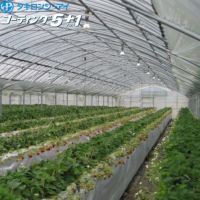 ビニールハウス・農ビ・農PO｜農家のお店おてんとさん