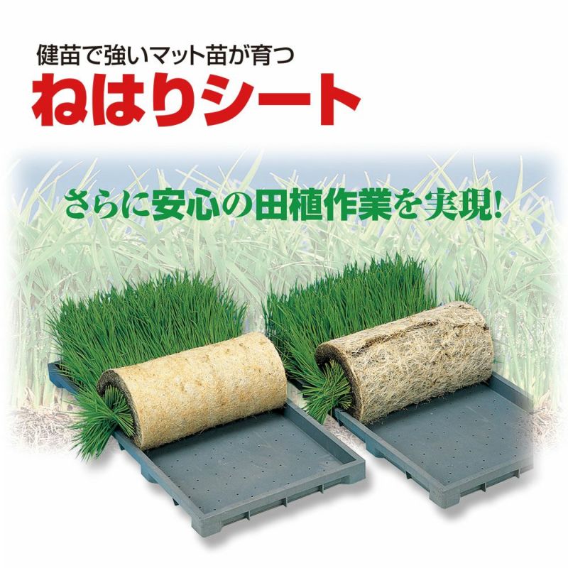 ねはりシート　育苗箱敷紙