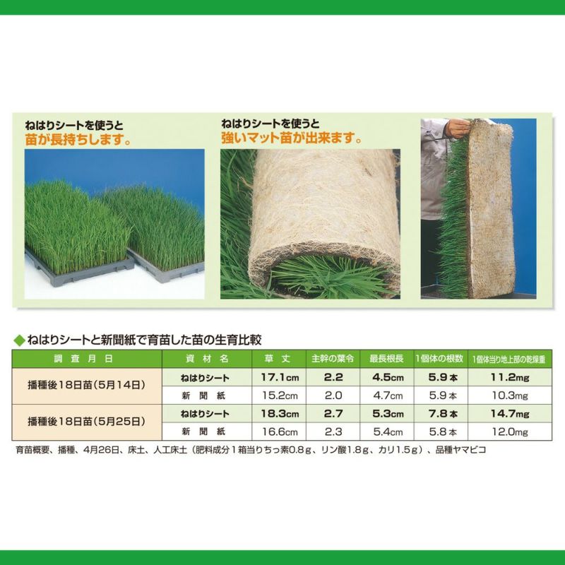 ねはりシート　育苗箱敷紙