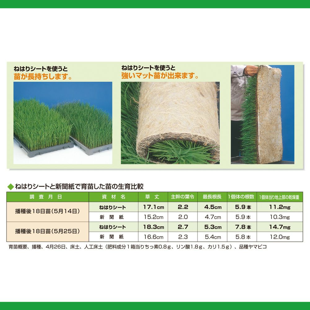 ねはりシート　育苗箱敷紙